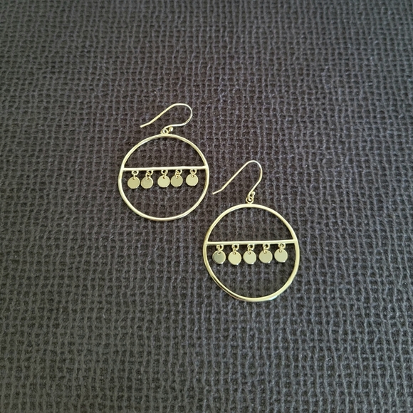 Stella Rose🌹Open Circle⭕ w/Discs📀 Earrings - Picture 10 of 13